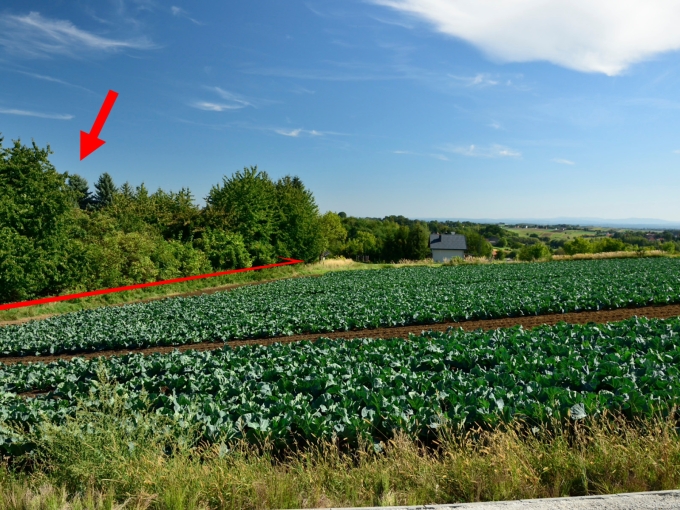 Sprzedam widokową działkę budowlaną pod Krakowem - Pietrzejowice, gm. Kocmyrzów - Luborzyca.
