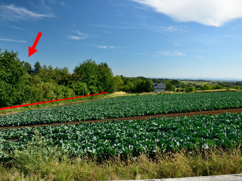 Sprzedam widokową działkę budowlaną pod Krakowem - Pietrzejowice, gm. Kocmyrzów - Luborzyca.