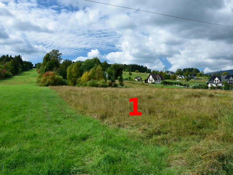 Sprzedam widokową działkę budowlaną - Lipnica Mała, gm. Jabłonka (Orawa).